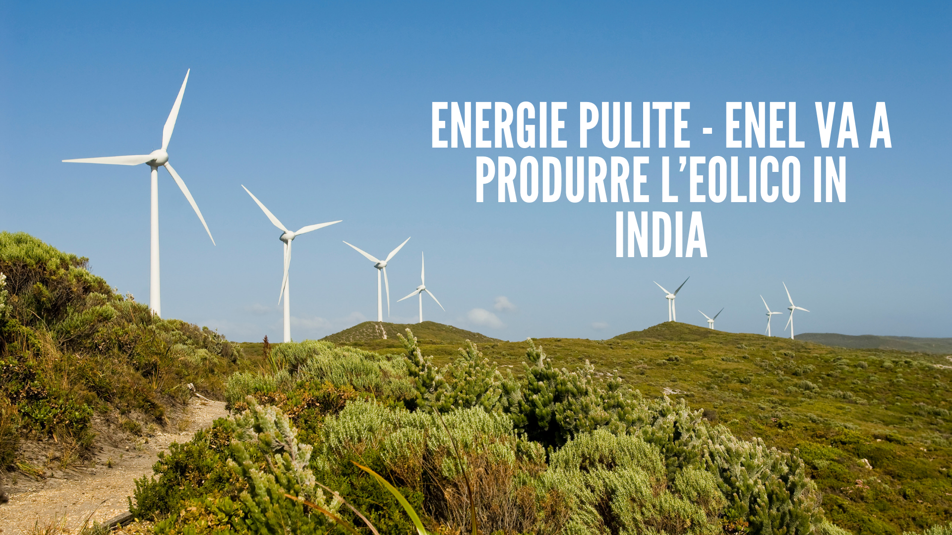 Energie pulite – Enel va a produrre l’eolico in India